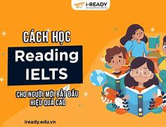 Cách Học Reading Ielts Cho Người Mới Bắt Đầu