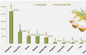 Tiểu Luận Xuất Khẩu Gạo Ở Việt Nam Đầu Năm 2022